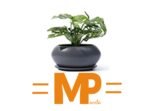 logo macetas para plantas