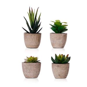 dsaren-4-piezas-mini-plantas-suculentas