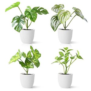 crosofmi-plantas-artificiales-interior