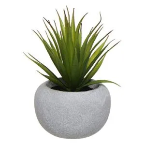 Planta-Decorativa-Cactus-Artificial