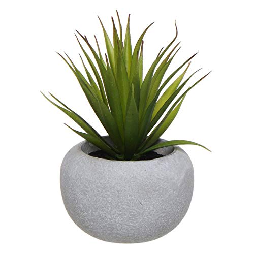Planta-Decorativa-Cactus-Artificial