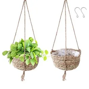 herefun-cesta-de-planta