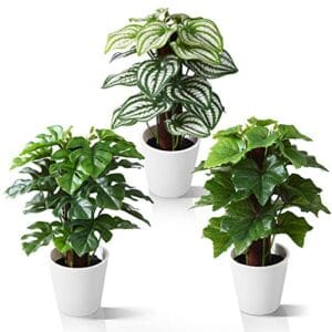 kazeila-mini-plantas-artificiales