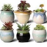 fairylavie-maceta-de-ceramica-para-suculentas