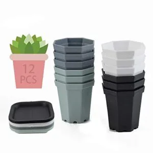 12pcs-maceta-de-plastico-octogonalmaceta
