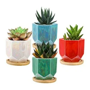 Lewondr-Maceta-Decorativa-de-Cerámica