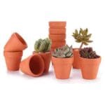 macetas para plantas maceta de barro con esmalte