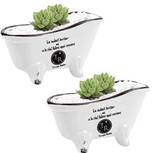 Maceta-para-bañera-de-estilo-francés