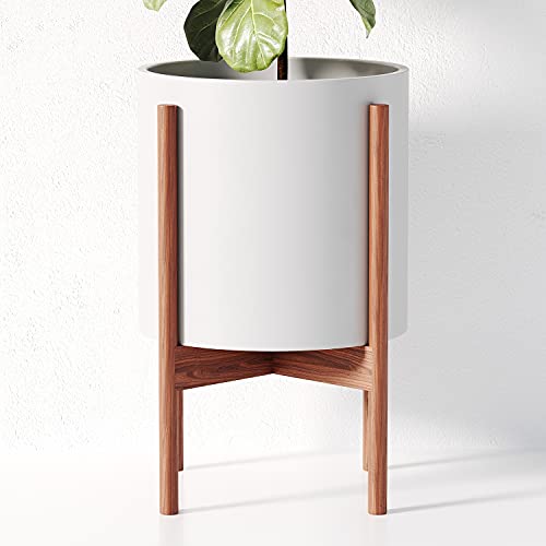 Century-Plant-Stand-with-Pot