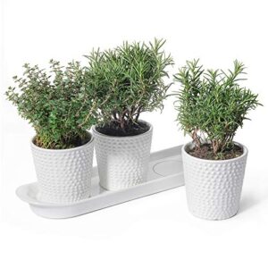 White-Ceramic-Herb-Planter-Pots
