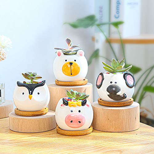 cute-animal-succulent-pots-with-bamboo