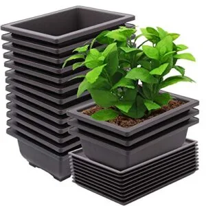 15-macetas-de-entrenamiento-de-bonsai-de-8-3-in