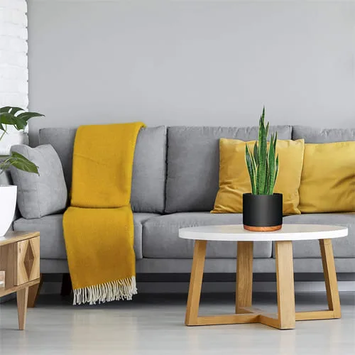 macetas-para-plantas-de-interior.jpg