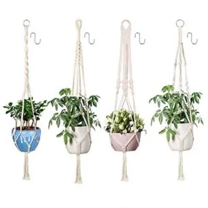 Colgante de Plantas para Maceta