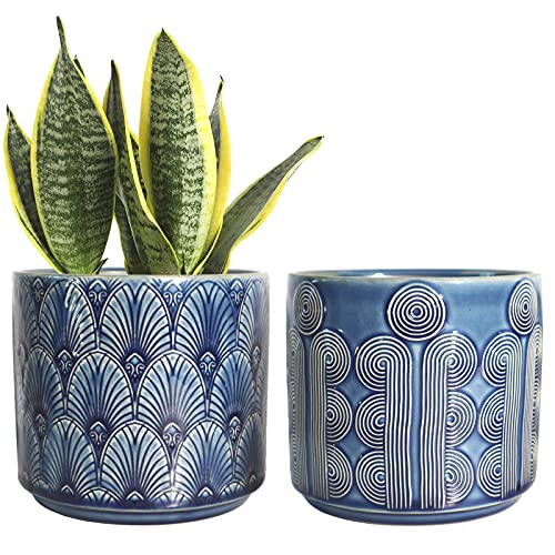 Macetas de cerámica para plantas de interior
