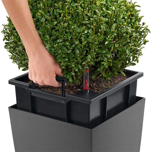 LECHUZA CUBICO 404