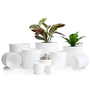 Small Garden Pots (6.5\"/6\"/5.5\"/5\"/4.5\"/4\"/3.5\"/3\"/2.5\"/2\") Set of 10 Plastic Succulent Plants Pots with Drainage Hole and Saucer, Flower Succulents Planter Pots for Plants, White Color, 74-G-XS-1